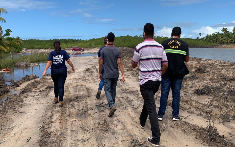 Um dos viveiros fiscalizados pela Adema � Foto: Adema/Reprodu��o