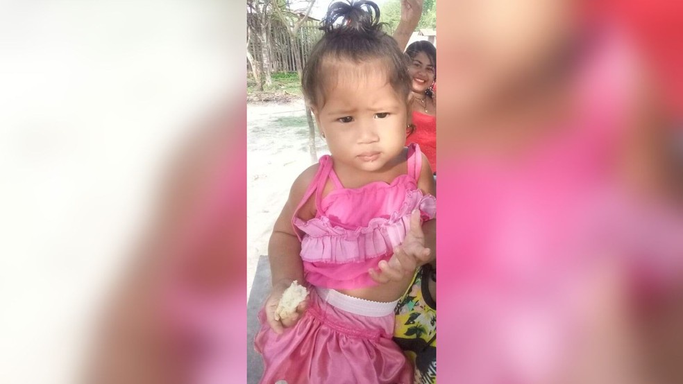 Menina de 1 ano morreu após ser atropelada por ônibus na comunidade JP em Santarém  — Foto: redes sociais 
