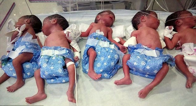 A mãe achava que esperava uma, mas nasceram cinco meninas (Foto: Reprodução/ Daily Mail)