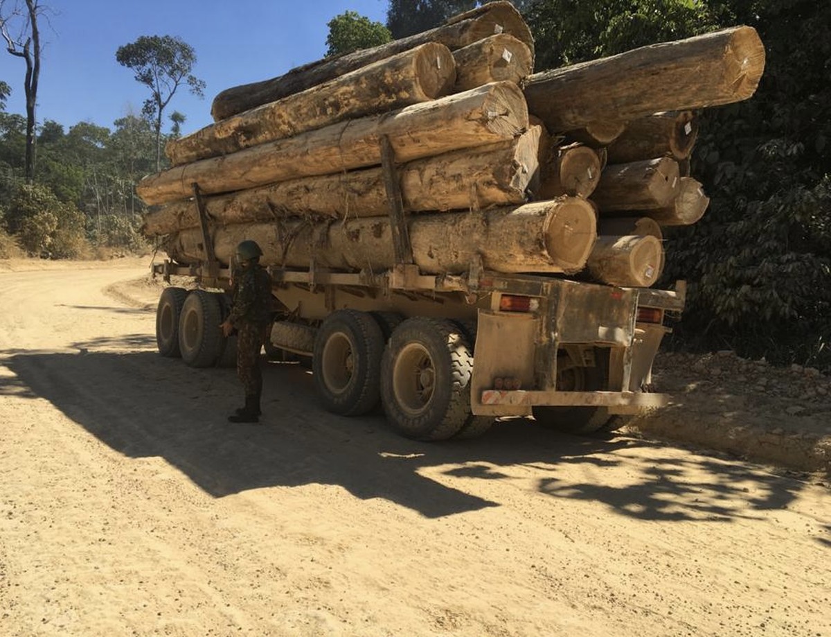 Militares apreendem caminhão abandonado com carga de madeira no Pará - Vimarsana News