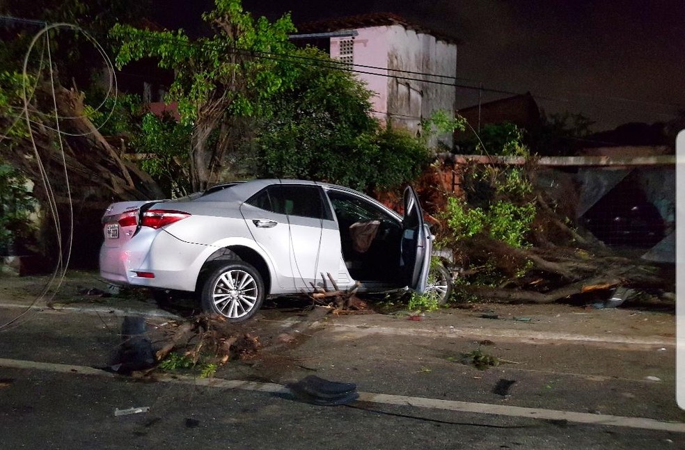 ApÃ³s derrubar a Ã¡rvore o veÃ­culo parou a poucos metros de uma residÃªncia. â€” Foto: Rafaela Duarte/Verdes Mares