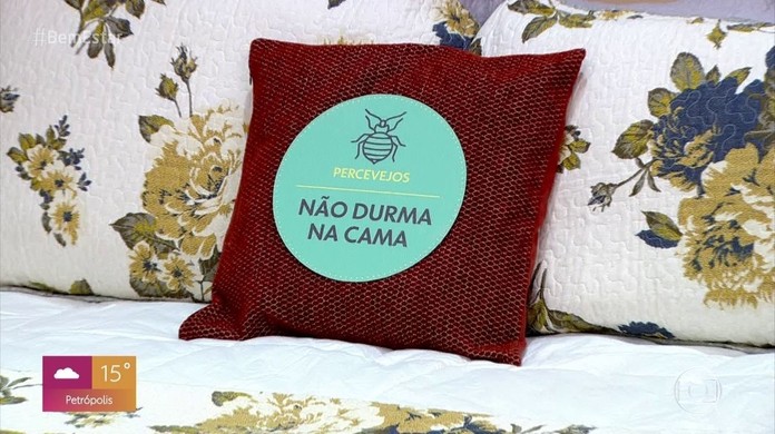 Percevejos Pulgas E Acaros Saiba Como Identificar E Combater Infestacoes Nos Colchoes E Lencois Bem Estar G1 O percevejo de cama é um minúsculo inseto parasita que se alimenta exclusivamente de sangue. percevejos pulgas e acaros saica como identificar e combater infestacoes nos colchoes