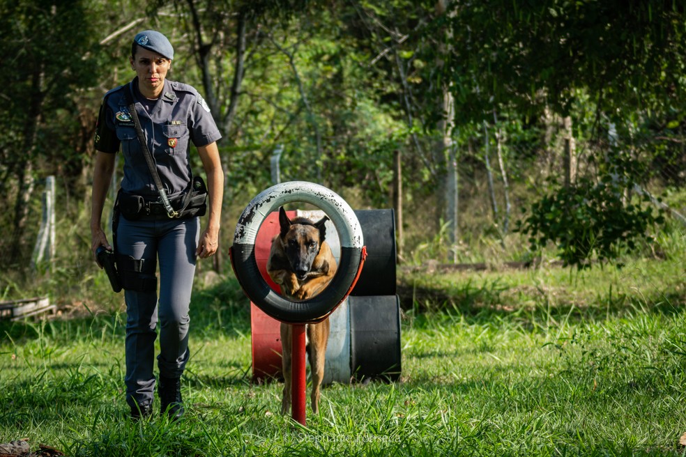 Antigamente, pista com obstáculos era usada para demonstrações ao público — Foto: Stephanie Fonseca