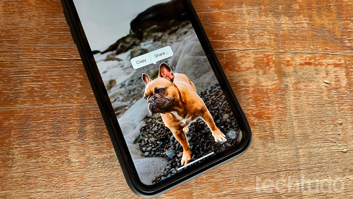 iOS 16: descubra tudo o que você pode fazer no iPhone com o Live Objects