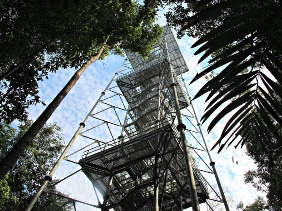 Torre tem 42 metros de altura. Para chegar ao topo, visitantes devem 'enfrentar' 242 degraus — Foto: Camila Henriques/G1 AM