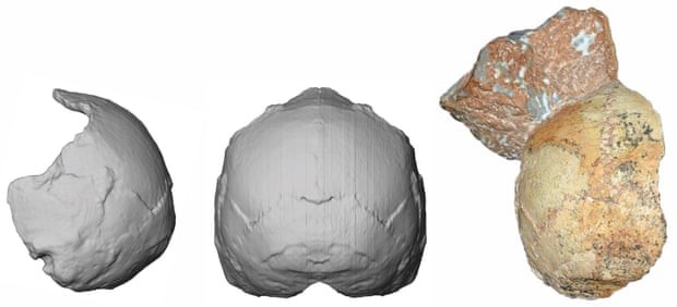 À esquerda, a reconstrução digital do crânio de 210 mil anos.  (Foto: Katerina Harvati, Eberhard Karls/University of Tübingen)