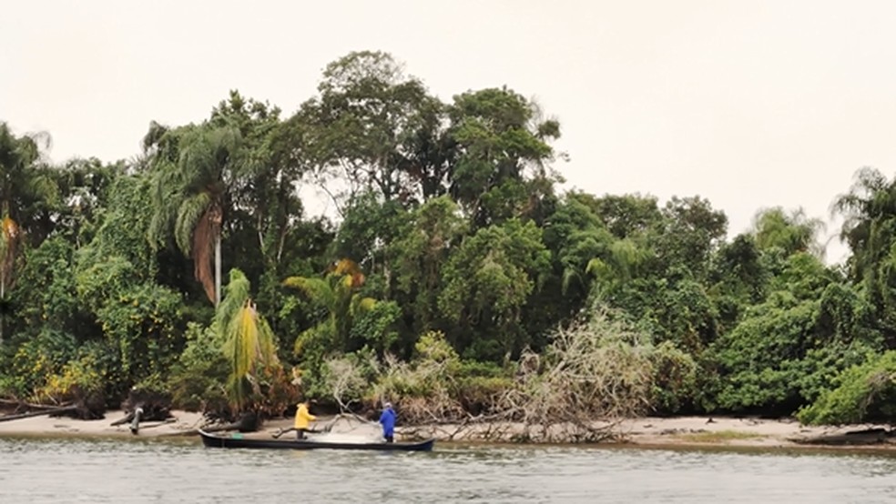 Pedacinho da comunidade Maciel  — Foto: Plug
