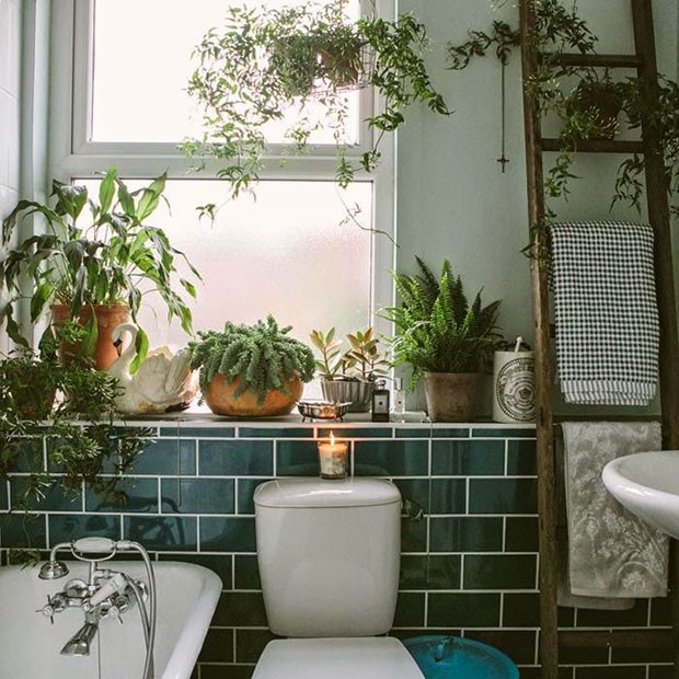 10 jeitos de ter plantas no banheiro (Foto: Divulgação)