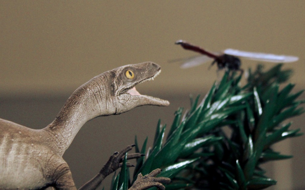 Pesquisadores identificam novo réptil brasileiro de 225 milhões de anos — Foto: Márcio L. Castro/Ilustração