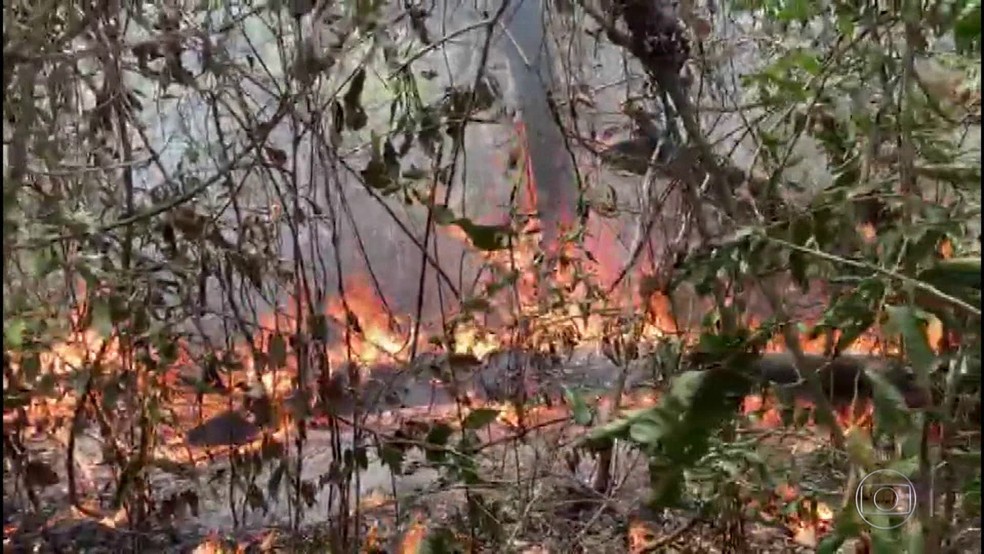 Pantanal de Mato Grosso atinge o maior número de focos de calor em 10 anos — Foto: Rede Globo