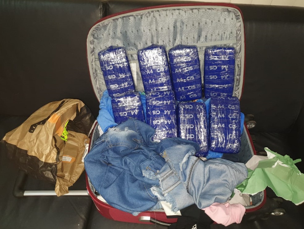 Cocaína em pasta estava escondida em formato de tabletes, entre roupas, em uma bagagem — Foto: Polícia Federal/Divulgação