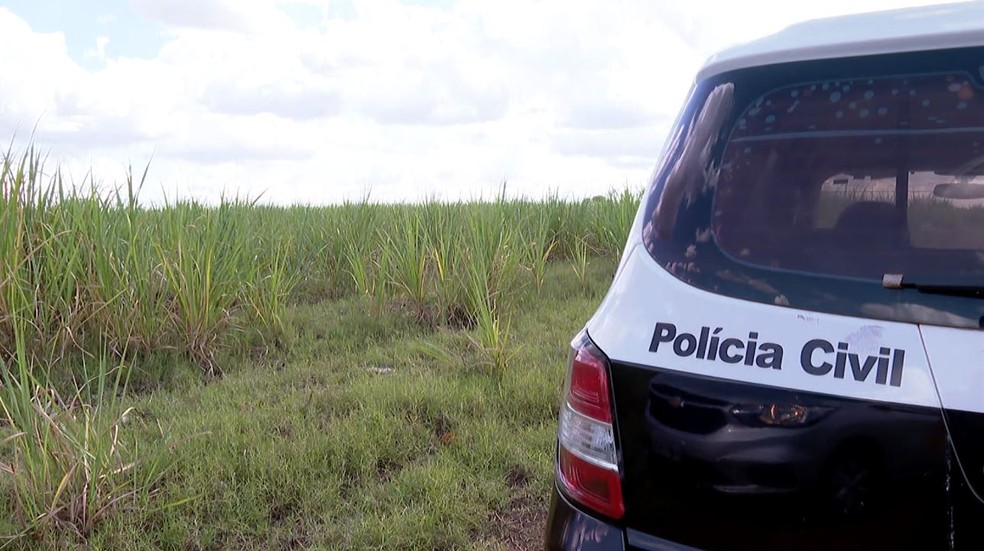 Mulher foi estuprada pelo marido em terreno porque ele queria interromper gestação — Foto: Jefferson Severiano Neves/EPTV