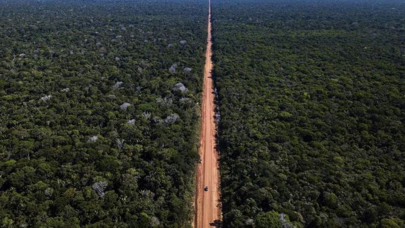 Estudos demonstram os efeitos prejudiciais da construção de rodovias para os ecossistemas cortados por elas (Foto: DNIT/Divulgação via BBC News Brasil)