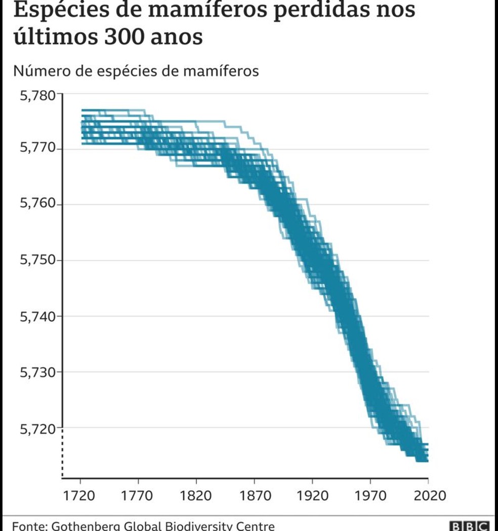 Espécies de mamíferos perdidas nos últimos 300 anos — Foto: BBC