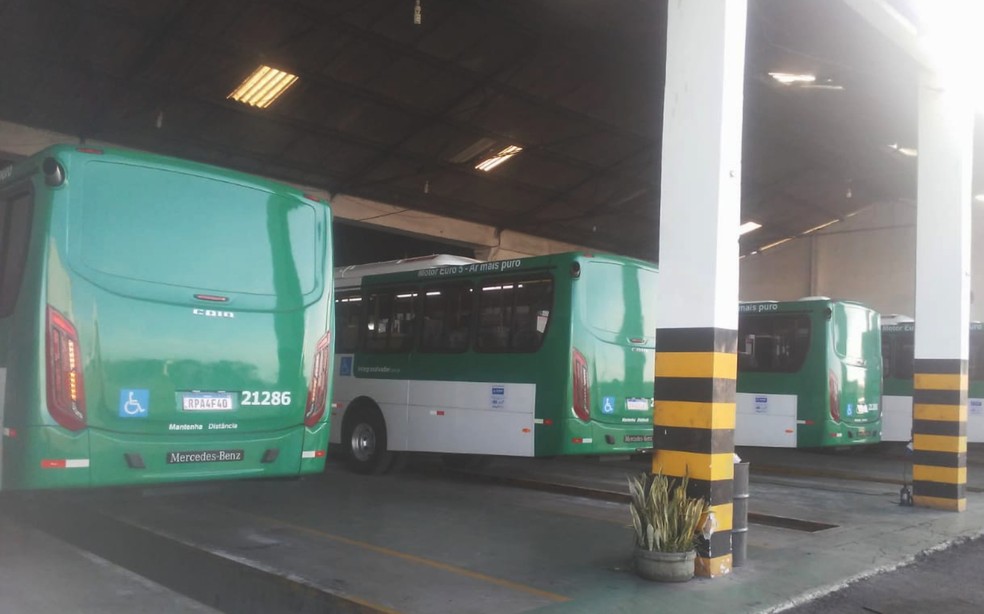 Novos ônibus chegam a Salvador para inclusão na frota que opera o transporte público na cidade — Foto: Divulgação/Semob