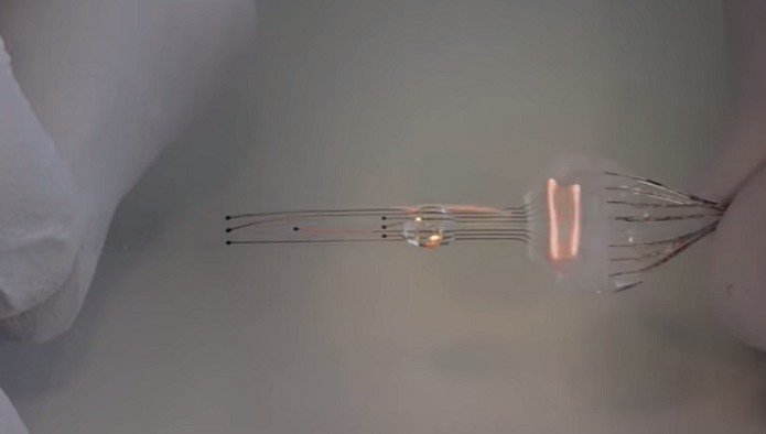 Implante revolucionário foi testado com sucesso em ratos (Foto: Reprodução/YouTube)