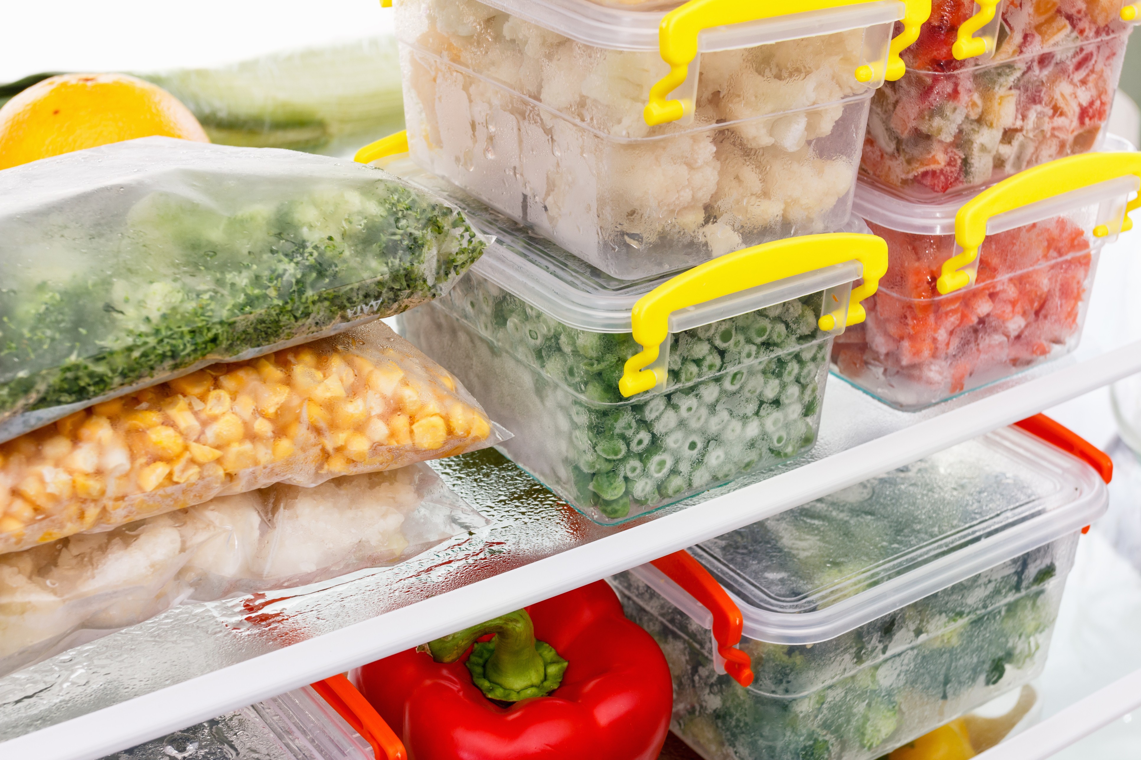 Congelar alimentos ajuda a evitar desperdício (Foto: Thinkstock)