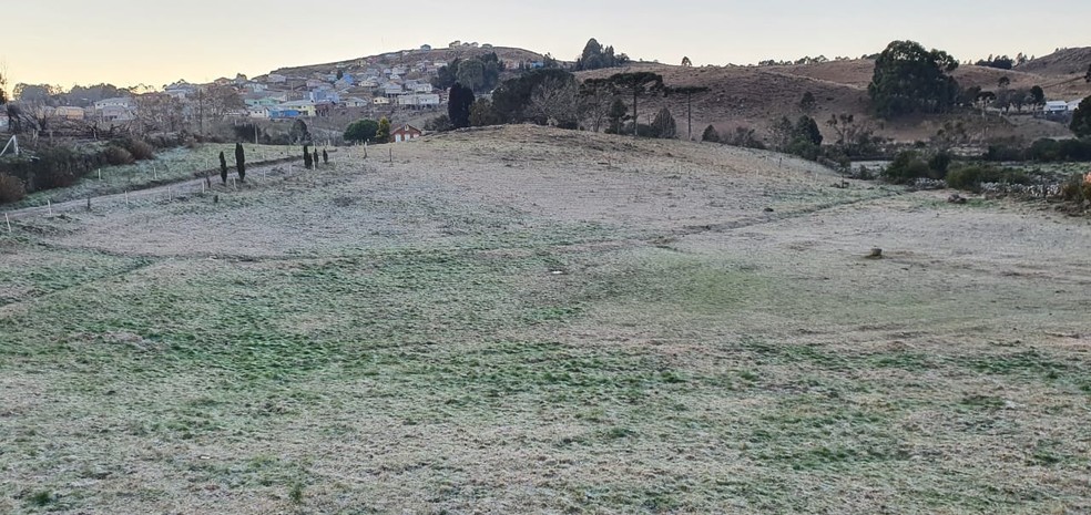 Campos começam o dia branquinhos pela fina camada de gelo formada durante a madrugada na Serra catarinense — Foto: Mycchel Legnaghi