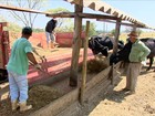 Em MG, família preserva o amor em trabalhar com a terra há três gerações