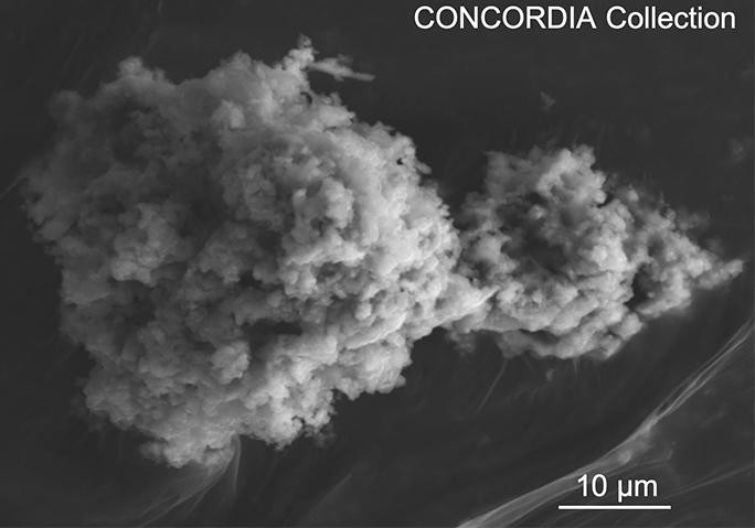 Micrografia eletrônica de um micrometeorito Concordia extraído da Antártida (Foto: Divulgação/Cécile Engrand /Jean Duprat/CNRS)