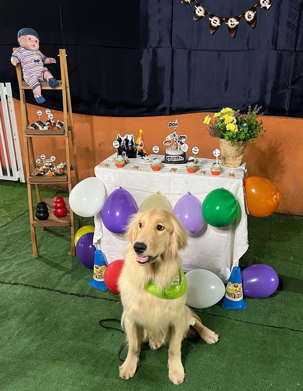 Dom, cãozinho de estimação de Viviane Araújo e Guilherme Militão, ganha festa de aniversário com alimentação adequada para pets (Foto: Reprodução/Instagram)
