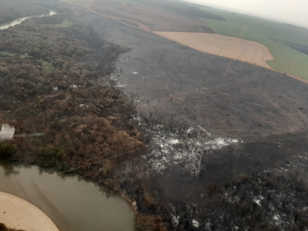 Incêndio atinge Parque Estadual do Aguapeí — Foto: Defesa Civil