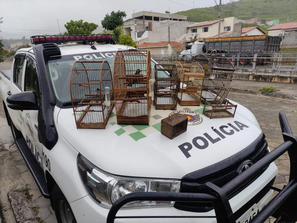 Polícia Ambiental apreende 27 aves silvestres em cativeiro em Taubaté e Jacareí