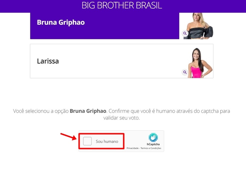 Telespectador deve confirmar humanidade marcando a caixa "Sou humano" para concluir seu voto na berlinda — Foto: Reprodução/Gabriela Andrade