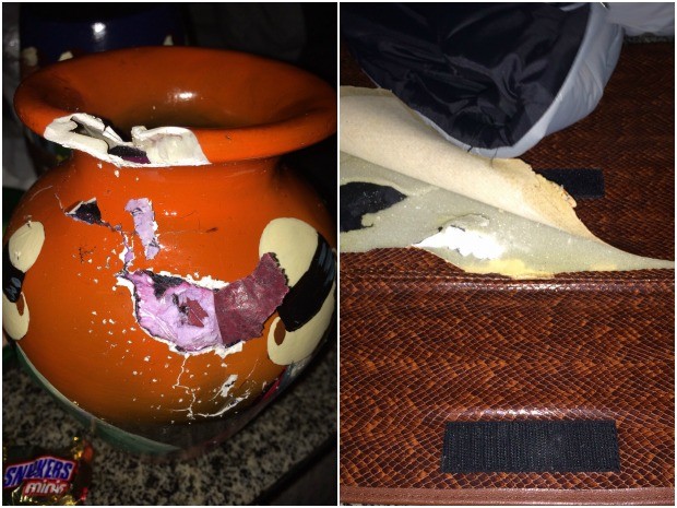 Droga estava escondida em vasos e roupas dentro de mala, diz PRF (Foto: Divulgação/PRF-AC)
