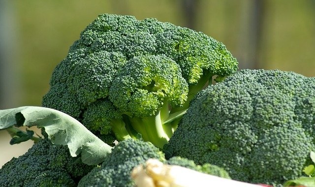 ve, é rico em fibras, ferro, fósforo, vitaminas A e C, o brócolis possui poucas calorias (Foto: Pixabay/ jackmac34/ CreativeCommons)