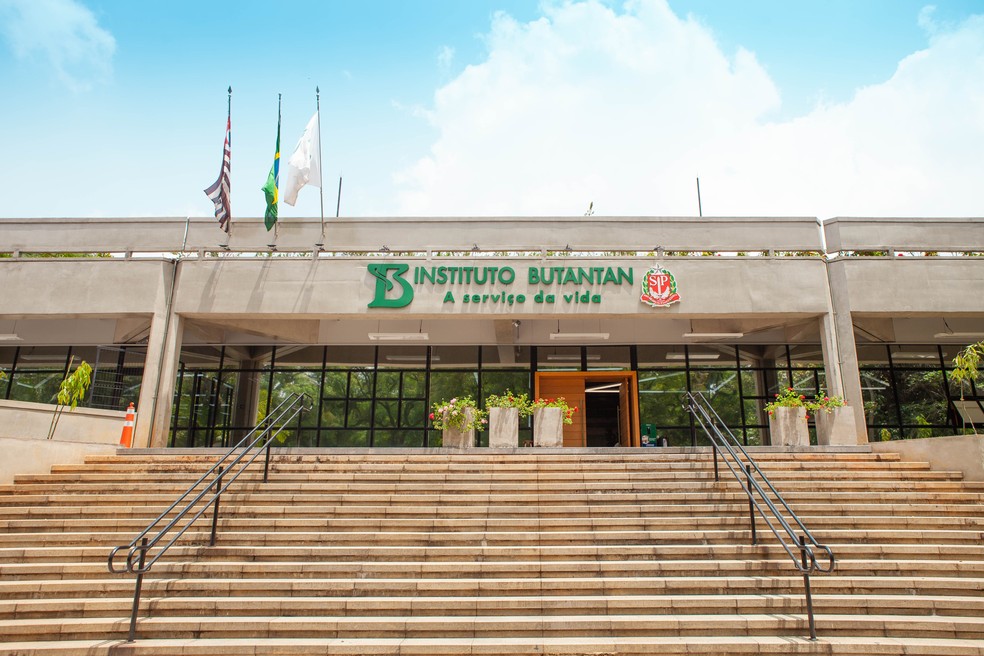 Prédio do Instituto Butantan na Zona Oeste de São Paulo.  — Foto: Divulgação