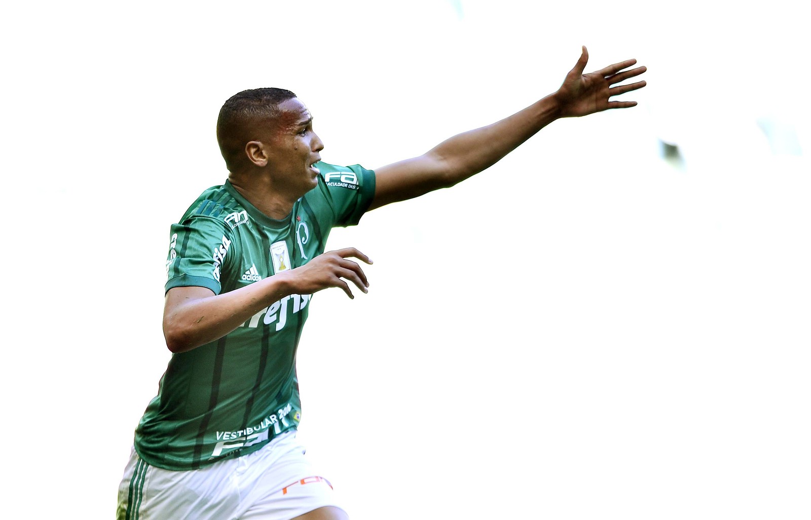  Opinião: entenda por que o Palmeiras venceu o Flamengo