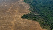 Desmatamento é maior preocupação nos estados da Amazônia Legal
