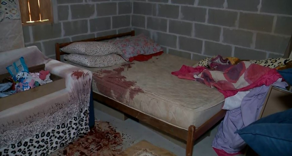 Mulher e as duas filhas dela foram esfaqueadas dentro de casa — Foto: Reprodução/TV Gazeta