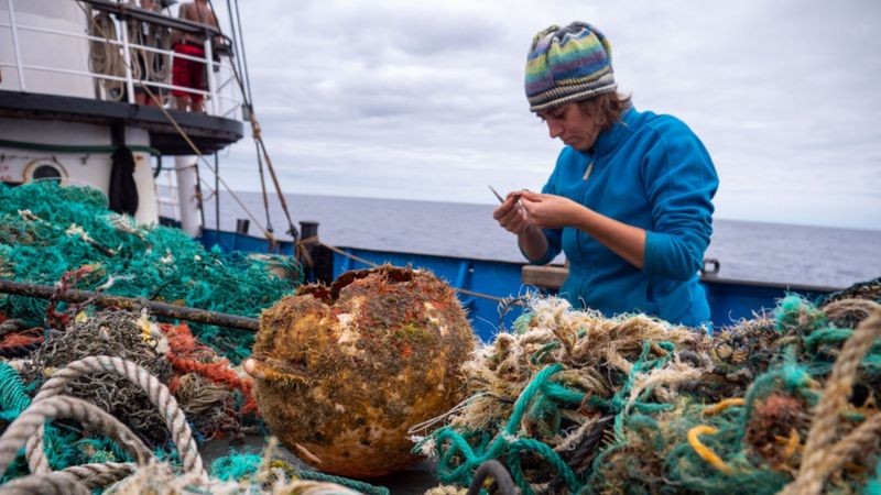 Os pesquisadores colaboraram com o Ocean Voyages Institute para coletar detritos do oceano (Foto: Ocean Voyages Institute  via BBC News Brasil)