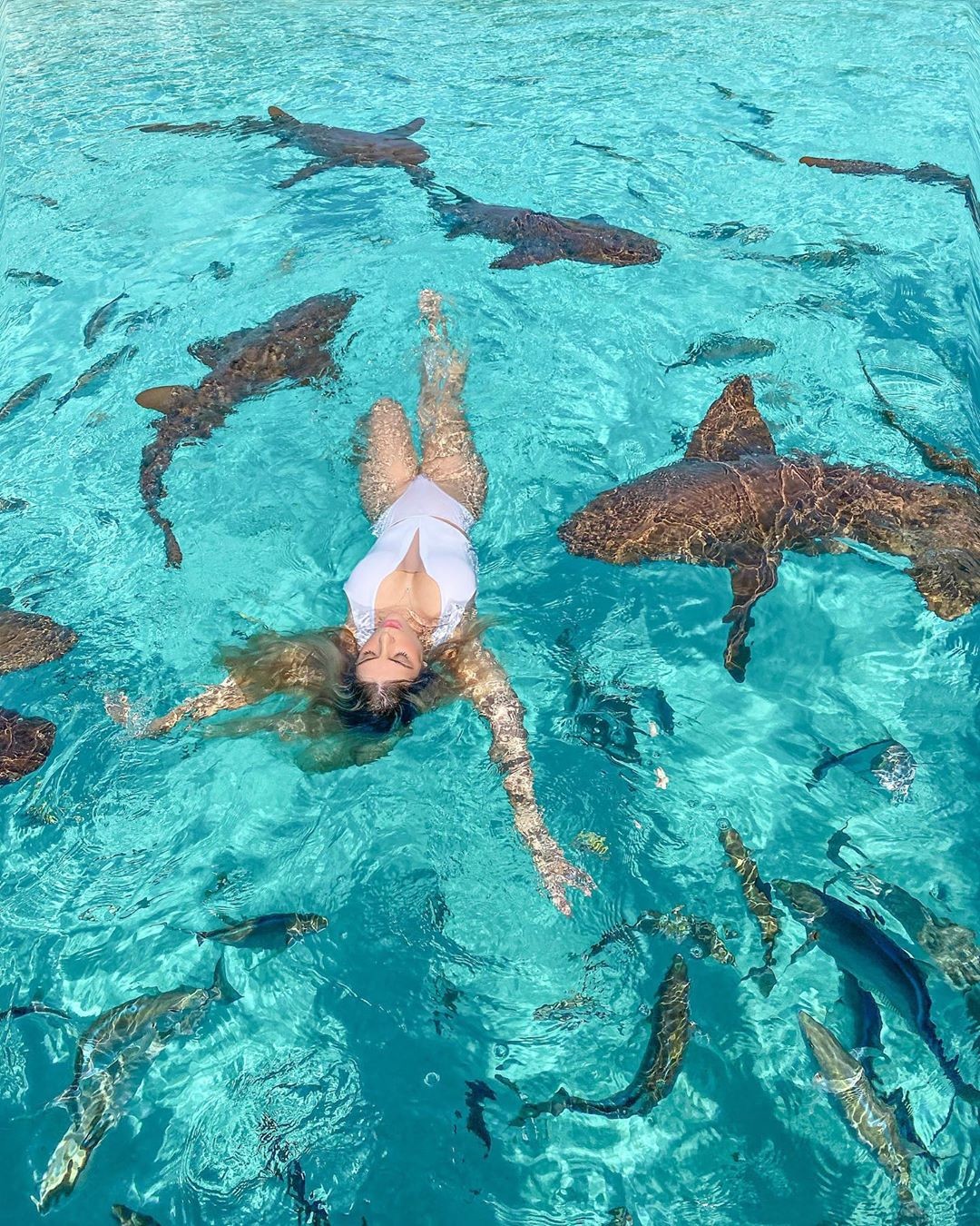 Ana Bruna Avila nada ao lado de tubarões (Foto: Reprodução/Instagram)