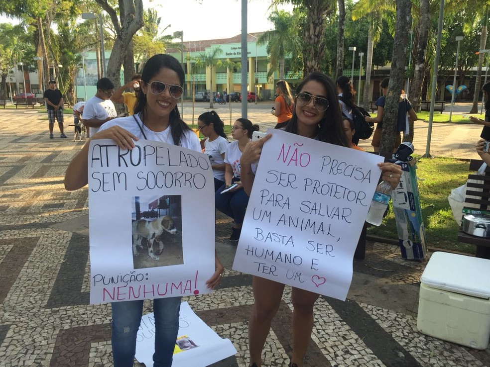 Ativistas pedem mais rigidez na punição de pessoas que maltratem animais  (Foto: Sabrina Kako/Arquivo Pessoal)