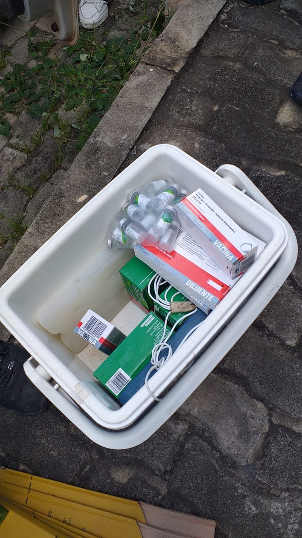 Doses que estavam sendo transportadas para a Campanha de Imunização  — Foto: Divulgação