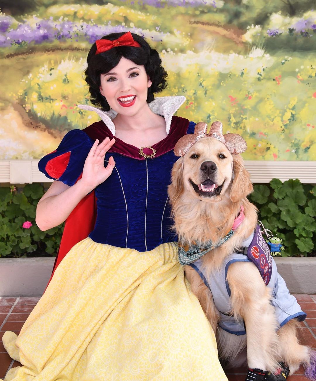 Cachorra de assistência faz sucesso nas redes sociais ao ser apaixonada pela Disney (Foto: Reprodução Instagram)