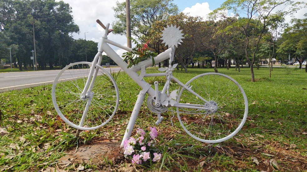 Bicicleta em memória a Pedro Davison é fixada no Eixão Sul  — Foto: Arquivo pessoal 