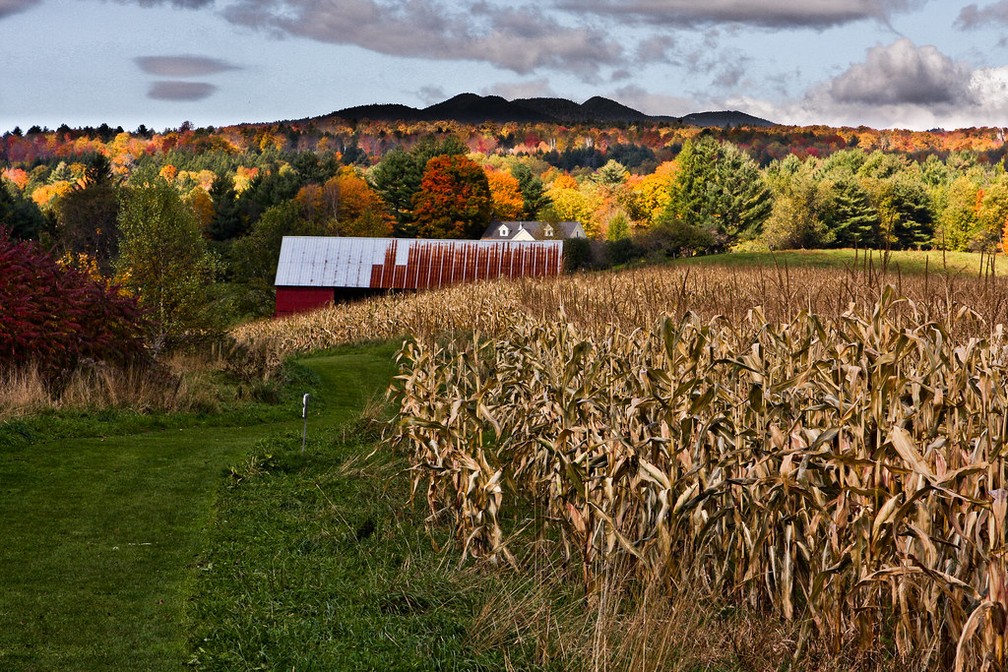Outono em Stowe, Vermont. â Foto: Patrick/Flickr
