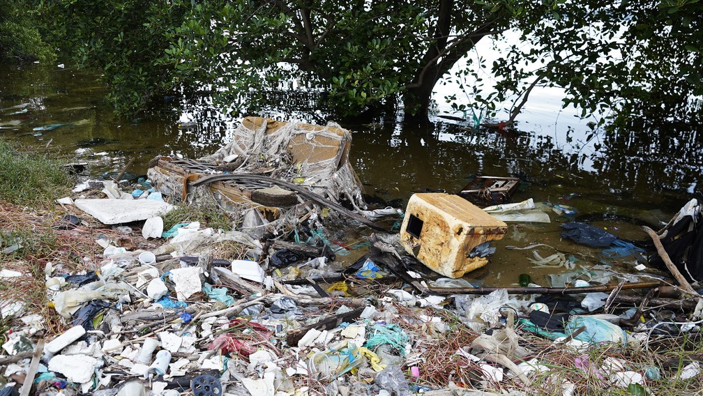 Lixo na Ilha do Fundão — Foto: Marcos Serra Lima/g1