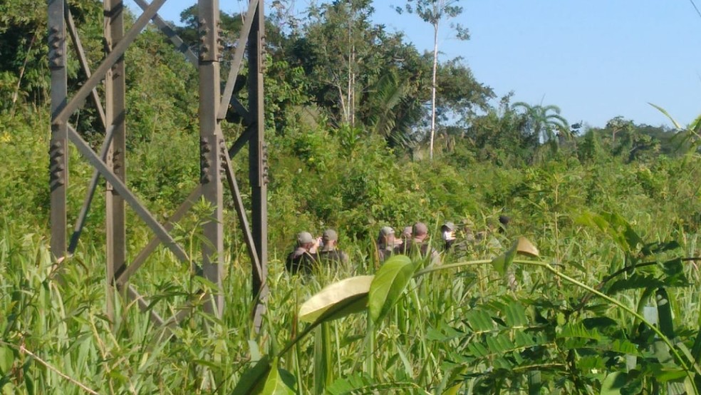 Corpo é encontrado enterrado em área de mata no Segundo Distrito de Rio Branco — Foto: Lidson Almeida/Rede Amazônica