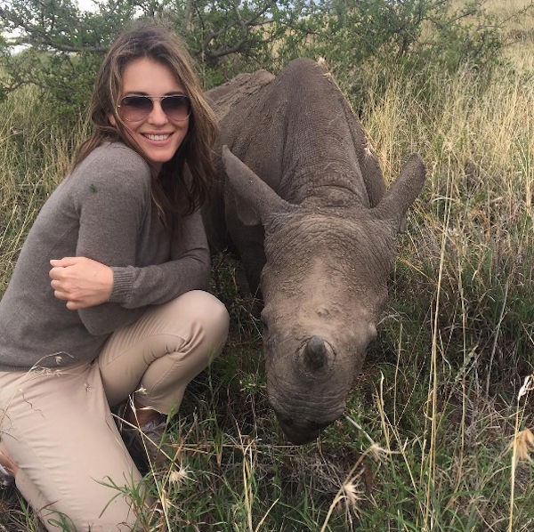 Eizabeth Hurley com o bebê rinoceronte (Foto: Instagram)