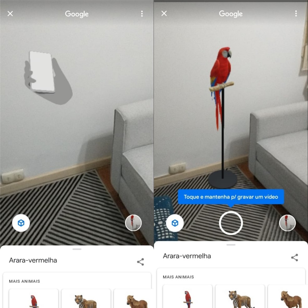 Movimente a câmera e reposicione o animal 3d com a Realidade Aumentada do Google — Foto: Reprodução/Clara Fabro