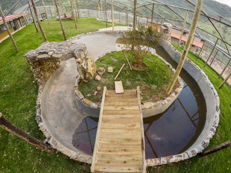 Ambiente que vai receber ursos Dimas e Kátia já está pronto em santuário de animais em Joanópolis — Foto: Biga Pessoa/ Rancho dos Gnomos