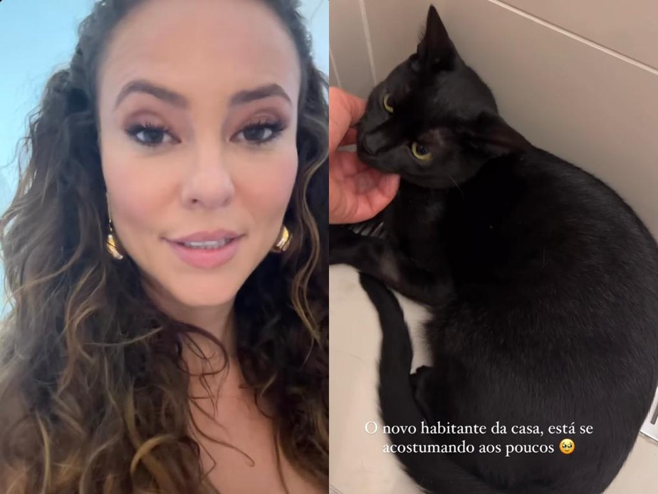 Paolla Oliveira resgata gatinho