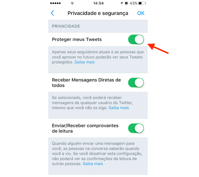 Opção para tornar uma conta do Twitter privada através do aplicativo para iPhone (Foto: Reprodução/Marvin Costa)