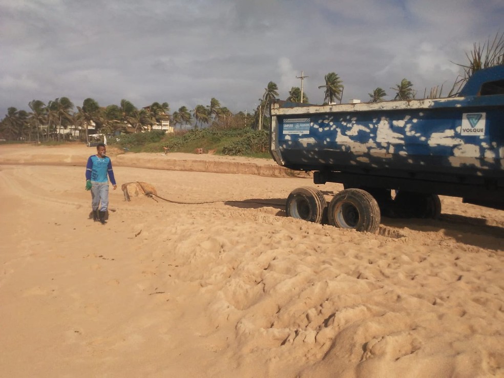 Caixas 'misteriosas' aparecem em praia de Salvador — Foto: Limpurb