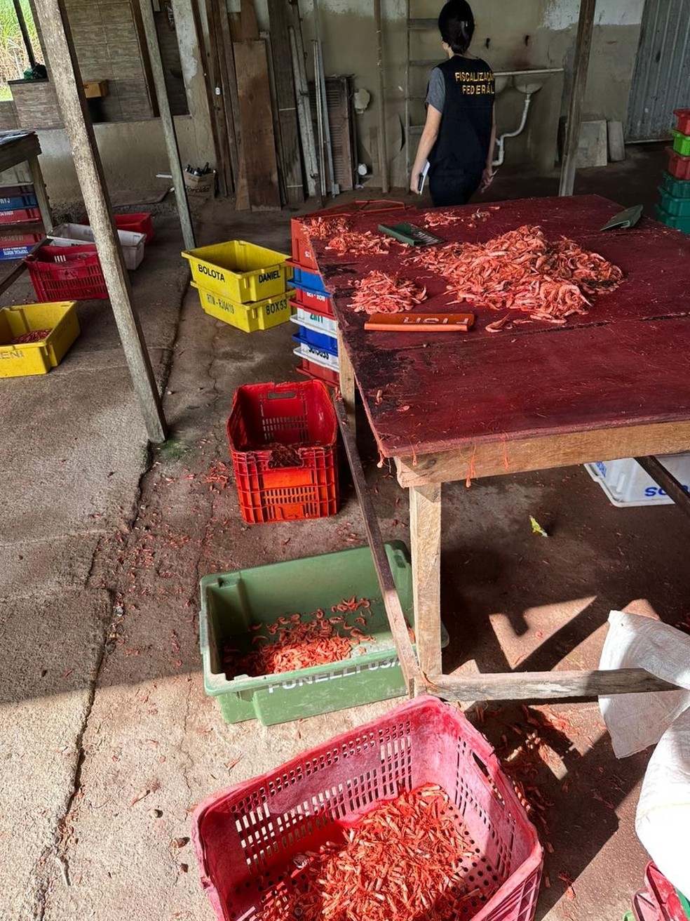 Ninguém foi encontrado no frigorífico clandestino encontrado em Campos, local já havia sido interditado uma vez — Foto: Divulgação